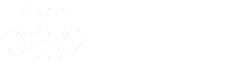 Главная